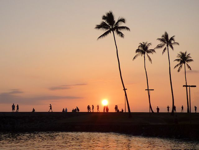 �}�W�b�N�A�C�����h�̃��O�[�����猩��T���Z�b�g