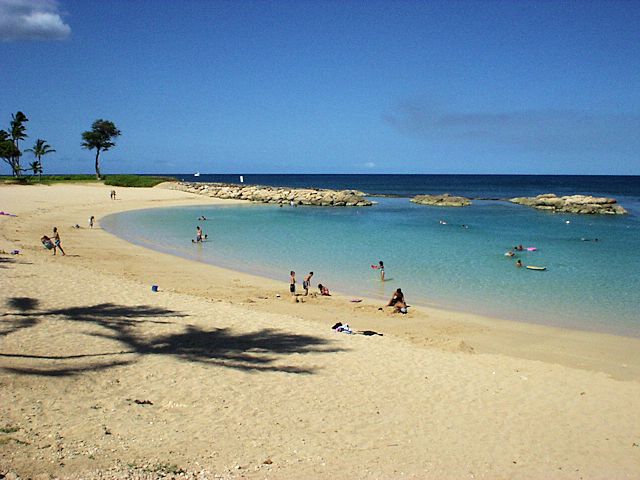 �R�I���i�̃��O�[��4