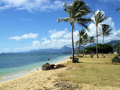 �N�A���A�r�[�`�p�[�N