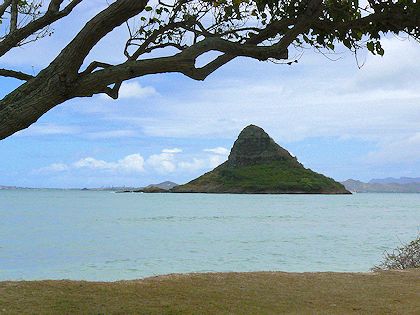 �`���A�C�i�}���n�b�g