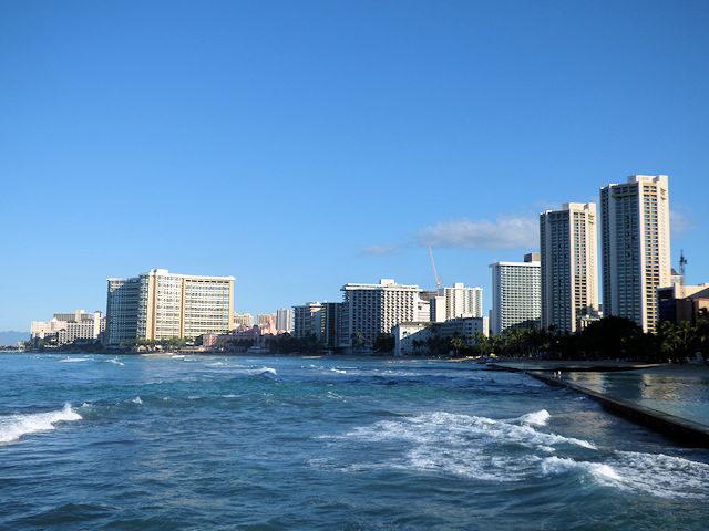 �N�q�I�r�[�`�̏���h���猩�����C�L�L