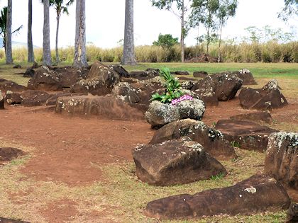 �N�J�j���R