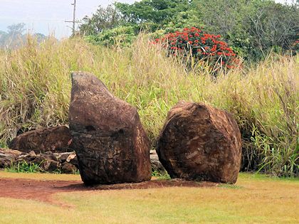 �N�J�j���R������ɂ����