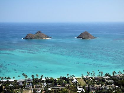 ���j�J�C�g���C���@����t�߂���̌i�F