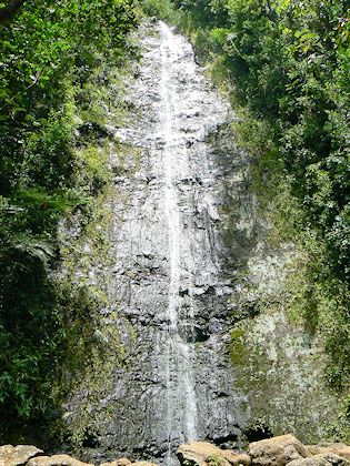 �}�m�A�t�H�[��