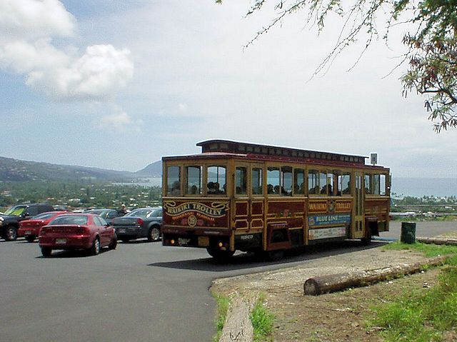 �C�������h�w�b�h�o�R���@�g���l���O�̃g�����[�◯��