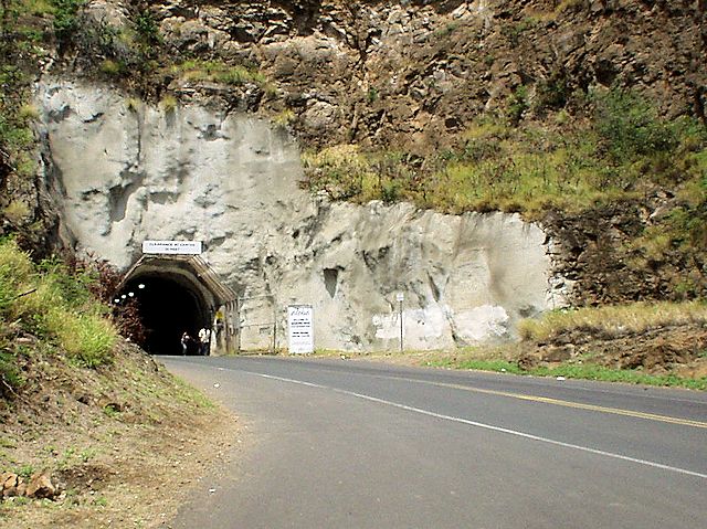 �_�C�������h�w�b�h�@�O�֎R�̃g���l��