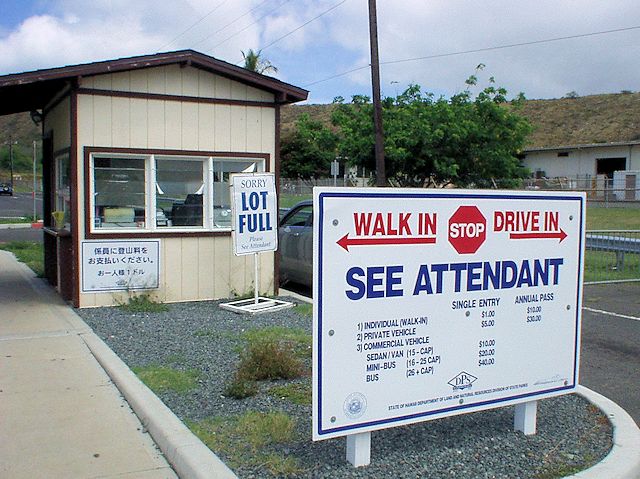 �_�C�������h�w�b�h�o�R���@���R����t�ꏊ