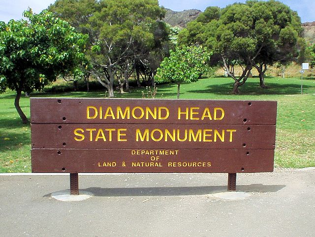 �_�C�������h�w�b�h�o�R��������̊Ŕ�