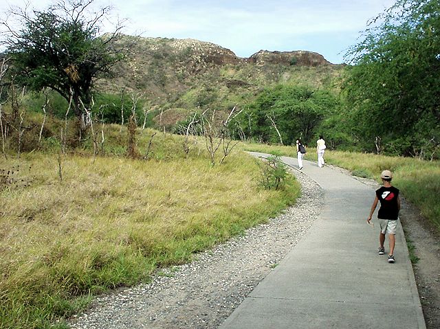 �_�C�������h�w�b�h�o�R��