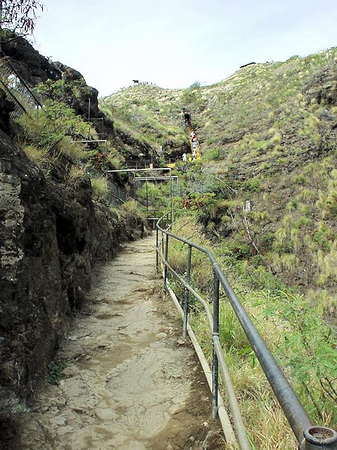 �_�C�������h�w�b�h�o�R��