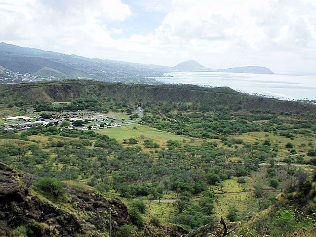 �_�C�������h�w�b�h�o�R���@�r������̃N���[�^�[�����̌i�F