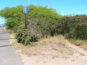 �n�i�E�}�p�@�O�֎R�n�C�L���O�@�����