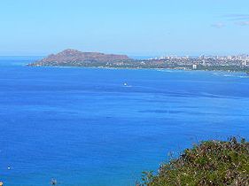 �_�C�������h�w�b�h�ƃ��C�L�L�̃r���Q