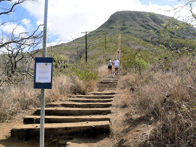 �R�R�N���[�^�[�@�o�R���̃��[��