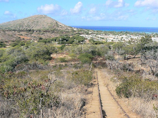 �R�R�N���[�^�[�o�R���������U��Ԃ��