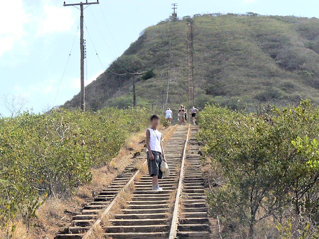 �R�R�N���[�^�[�@�o�R�����璸������グ��