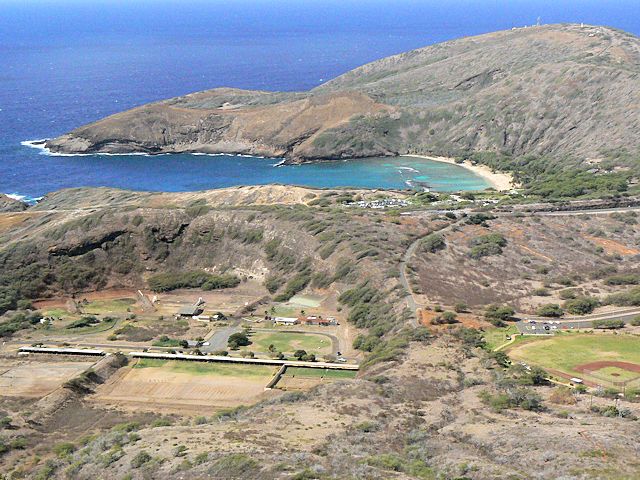 �R�R�N���[�^�[�o�R�����猩���n�i�E�}�p