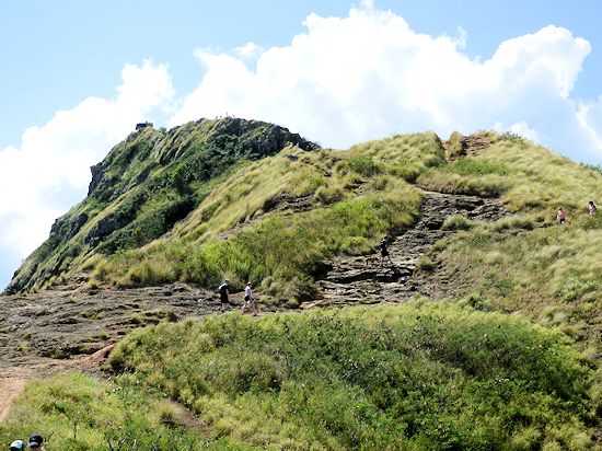 �W�]��Ɍ��������j�J�C�g���C��