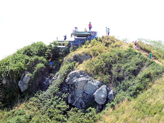 ���j�J�C�g���C���@����̓W�]��