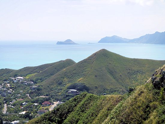 �}�J�v�E�g���C���@����̓W�]�䂩��}�J�v�E����