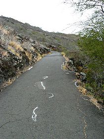 �ܑ�����Ă���}�J�v�E�g���C��