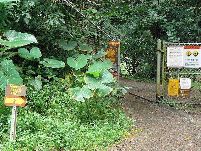 �}�m�A�t�H�[���n�C�L���O���H�����