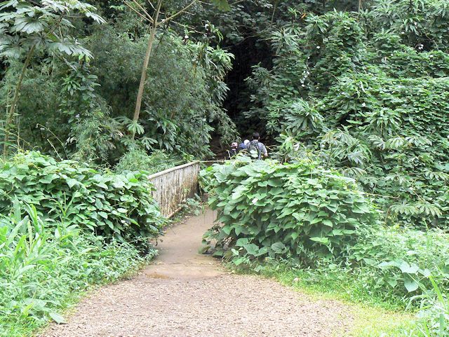 �}�m�A�t�H�[���̃n�C�L���O���H