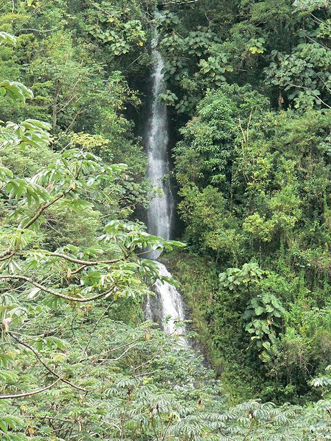 �}�m�A�t�H�[��