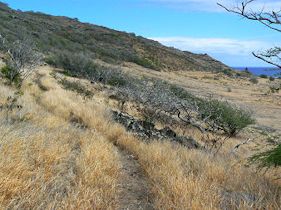 �y���̈֎q�Ɍ��������ݕ�����