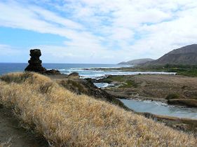 �y���̈֎q�ɓ������钼�O�̕��i