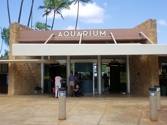 ���C�L�L�����ٓ����