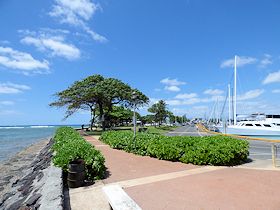 �P�����p����