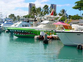 �z�m�����X�N���[�}�[