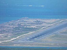 �z�m������`���ї����q�@