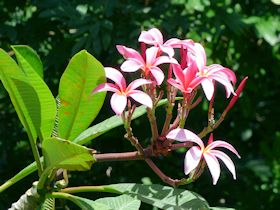 �^���^���X�̋u�@���[�̃v�������A