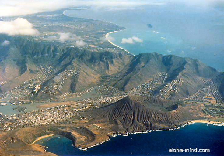 �@�ォ�猩���n�i�E�}�p�ƃR�R�w�b�h