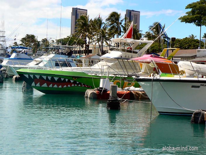 �z�m�����X�N���[�}�[�̑D