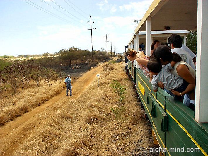 �I�A�t���@�T�g�E�L�r���