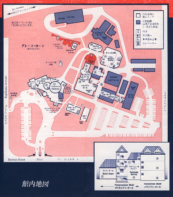 �r�V���b�v�~���[�W�A���@�p���t���b�g