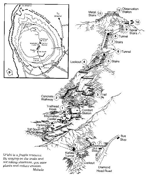 �_�C�������h�w�b�h�@�n�C�L���O�@�n�}