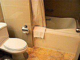 �p�`�����X�C�[�c�̃o�X���[��