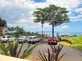 �����M�X�̃e�[�u�����猩�����i�F