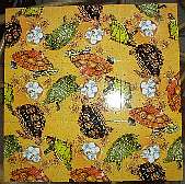 �q���p���Y��