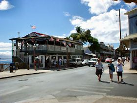 ���n�C�i�̃��X�g����