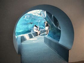 �}�E�C�E�I�[�V�����Z���^�[�̃g���l������