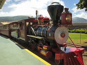 �T�g�E�L�r���