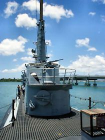 �����́@�{�[�t�B���̍b��