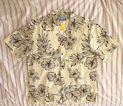 �A���n�V���c