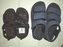 �r�[�`�T���_��